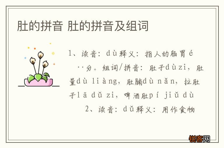 肚的拼音 肚的拼音及组词