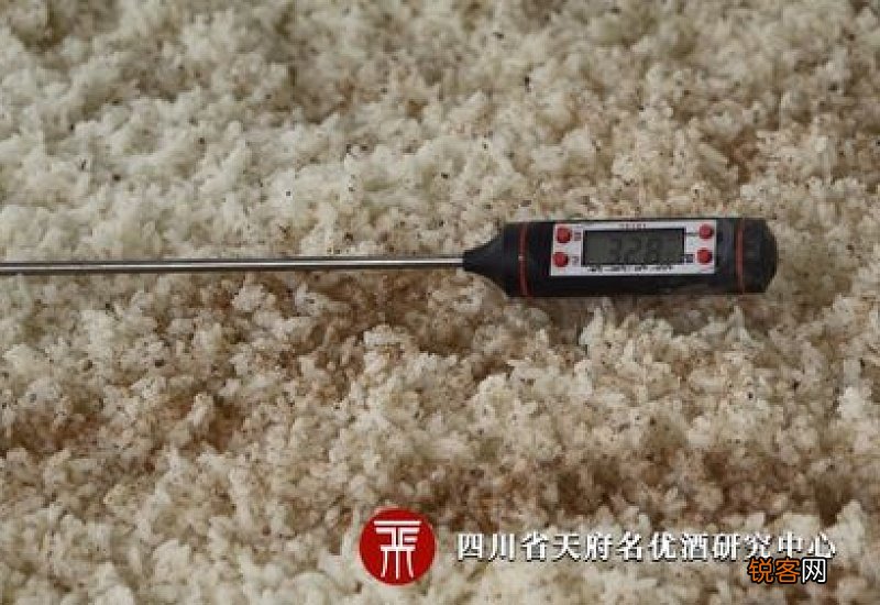 如果酒曲放多了有什么后果?