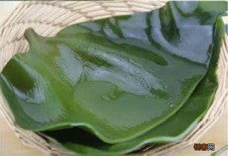 海带的功效有哪些 海带食用方法有哪些