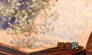 点绛唇黄花城早望古诗和意思 点绛唇黄花城早望古诗的译文