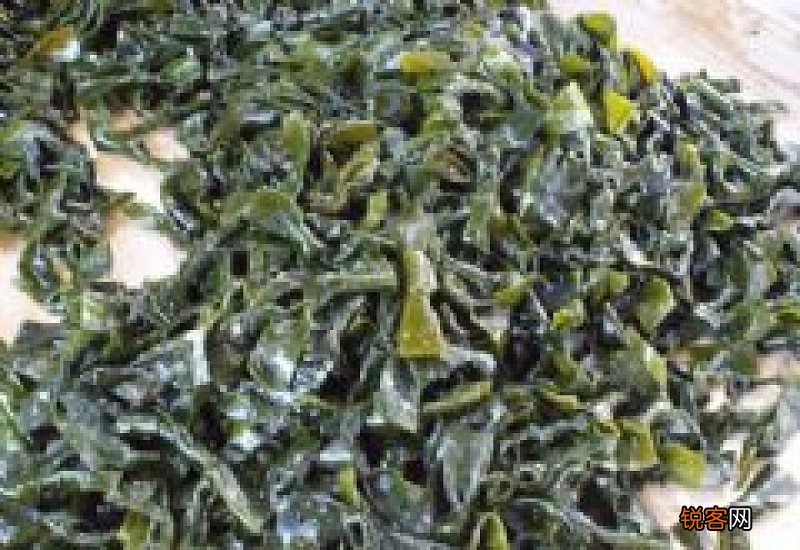 海洋蔬菜的作用有哪些 常吃海洋蔬菜对身体有什么好处