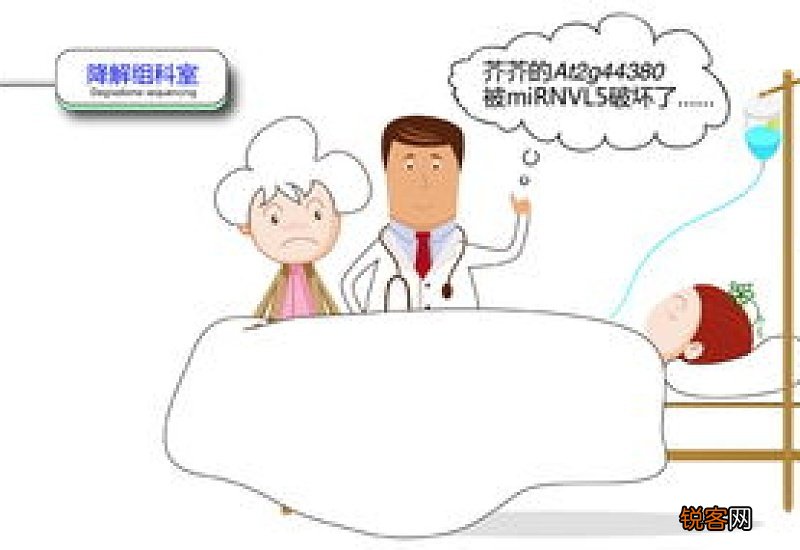 盐胁迫是什么意思