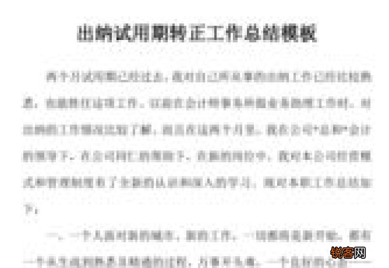 新员工个人试用期转正工作总结报告