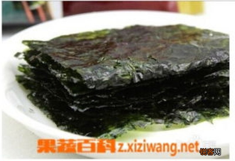 海苔有什么营养价值 海苔的营养价值有哪些