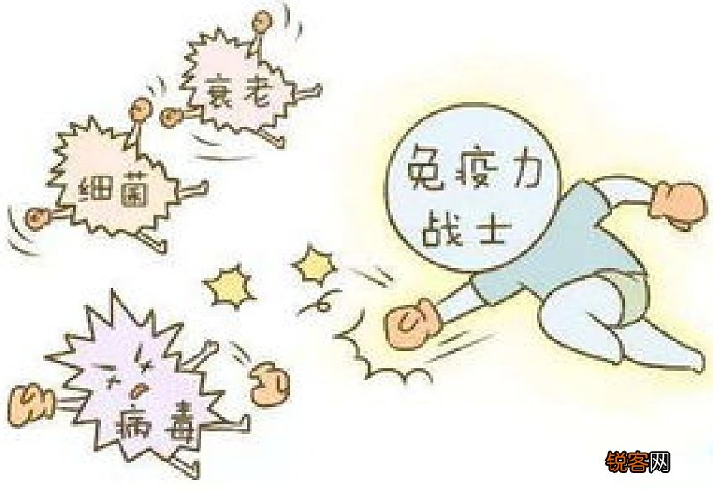 多吃可以增加免疫力吗 多吃会增加免疫力吗