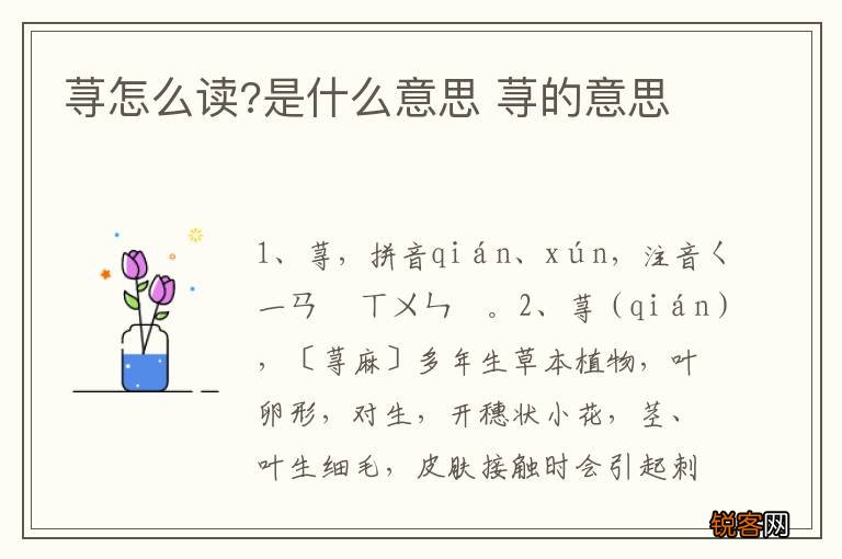 荨怎么读?是什么意思 荨的意思