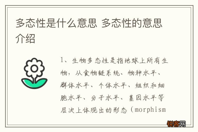 多态性是什么意思 多态性的意思介绍