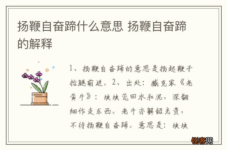扬鞭自奋蹄什么意思 扬鞭自奋蹄的解释