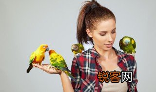 益鸟的益是什么意思 益鸟相关介绍