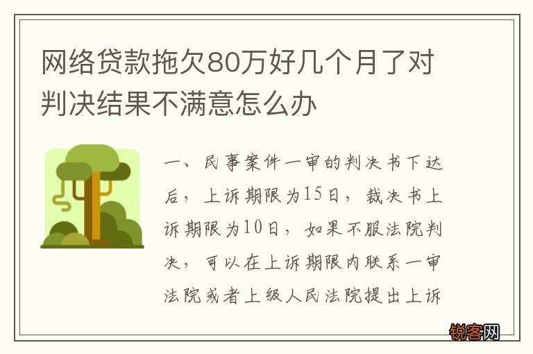 网络贷款拖欠80万好几个月了对判决结果不满意怎么办