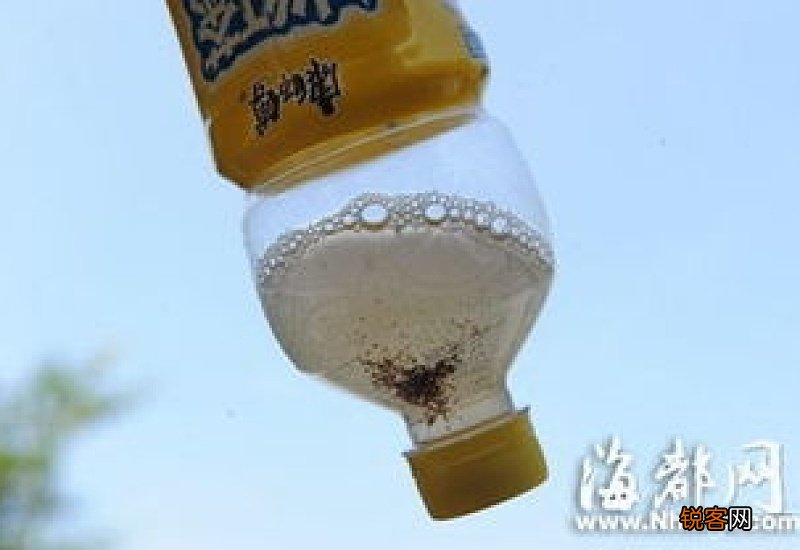 胖大海的絮状物能喝吗