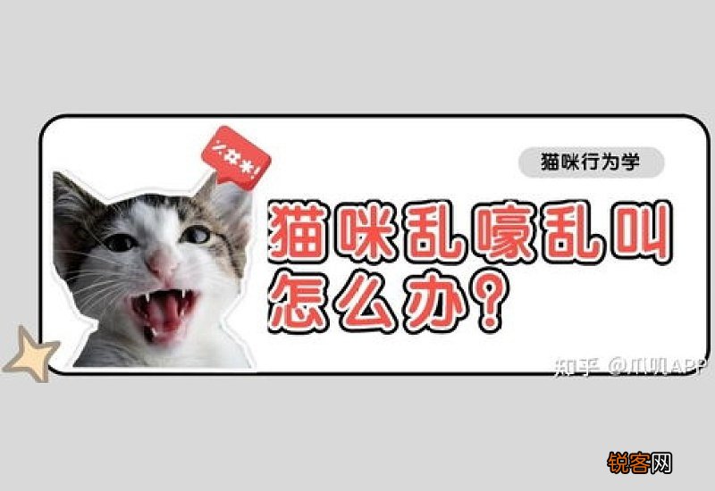接触猫瘟的猫后几天会发病