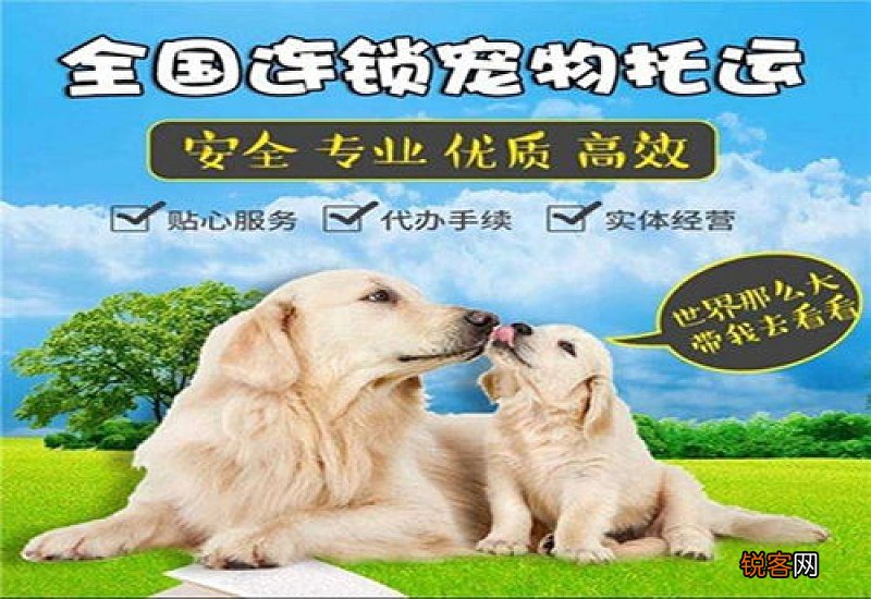 宠物怎么托运到外地