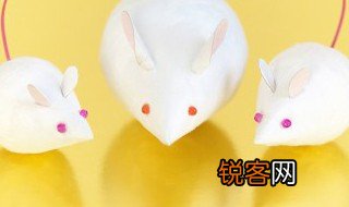 胆小如鼠的意思是什么 怎么理解胆小如鼠