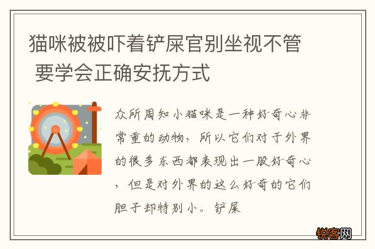 猫咪被被吓着铲屎官别坐视不管 要学会正确安抚方式
