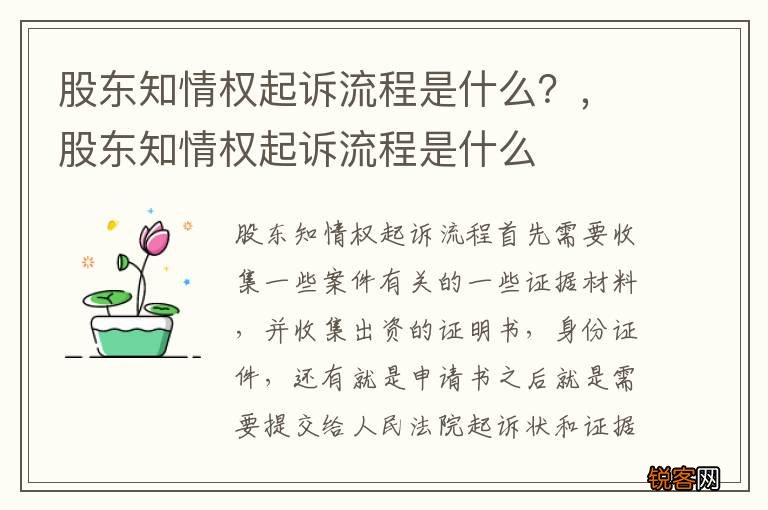 股东知情权起诉流程是什么？，股东知情权起诉流程是什么