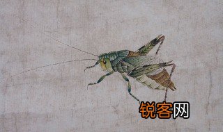 蟋蟀的意思 蟋蟀长什么样子
