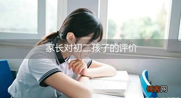 家长对初二孩子的评价