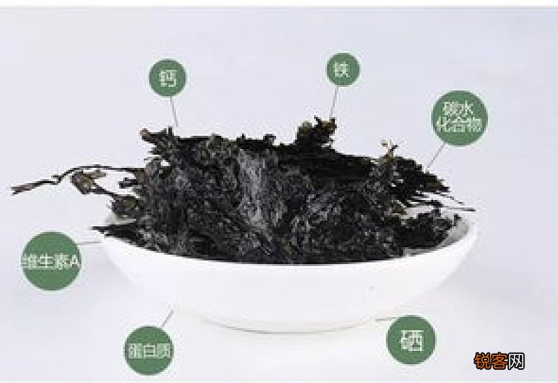 紫菜的季节是什么时候
