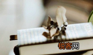 站位高是什么意思 站位高意思简述