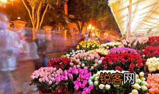 行字组词 行字可以组词什么