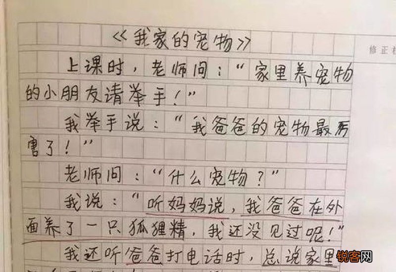 我当一天家作文