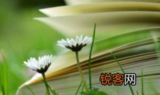 与相遇意思相近的词 相遇意思简述