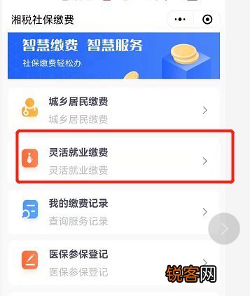 长沙医疗保险可以自己缴纳吗？
