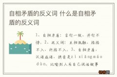自相矛盾的反义词 什么是自相矛盾的反义词
