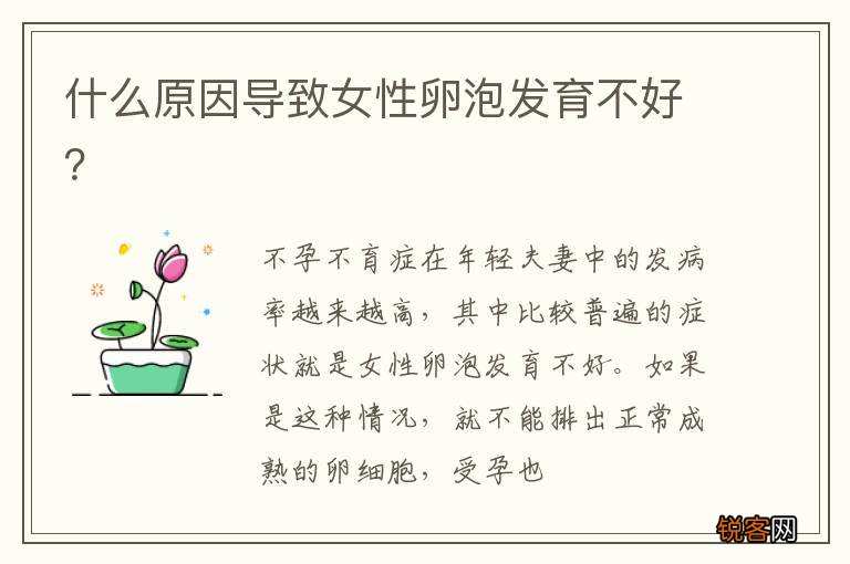 什么原因导致女性卵泡发育不好？