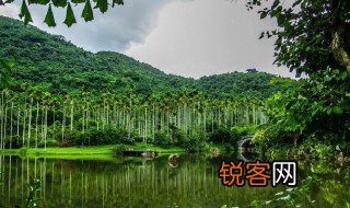 中国三大热带雨林 中国三大热带雨林是哪里？