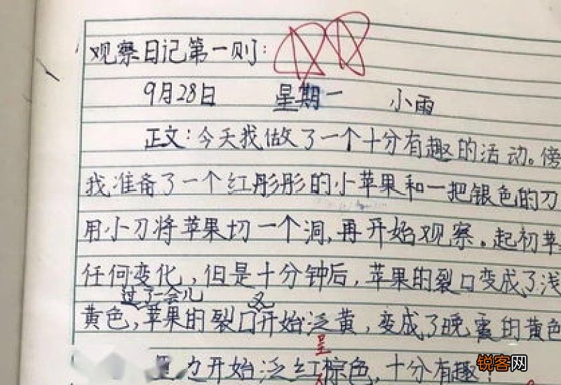 在学校连续观察日记小学五年级作文