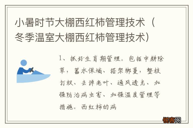 冬季温室大棚西红柿管理技术 小暑时节大棚西红柿管理技术