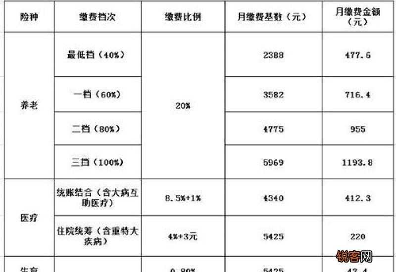 灵活就业社保缴费档次2023年 缴费标准是多少钱一个月？