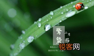 蛰伏的意思是什么 蛰伏的详细解释