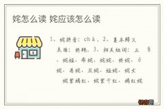 姹怎么读 姹应该怎么读