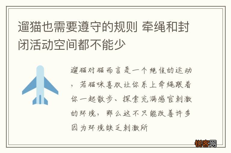 遛猫也需要遵守的规则 牵绳和封闭活动空间都不能少