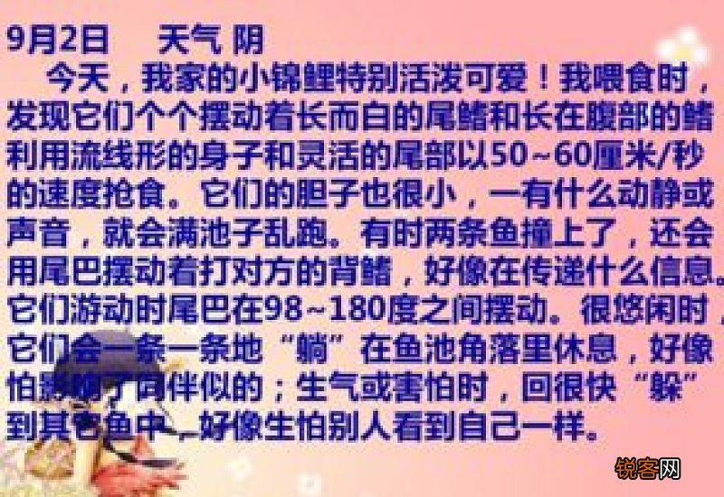 四年级观察小学日记作文3篇