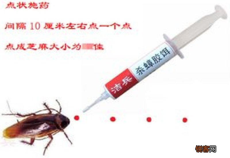 驱赶蟑螂最有效的方法