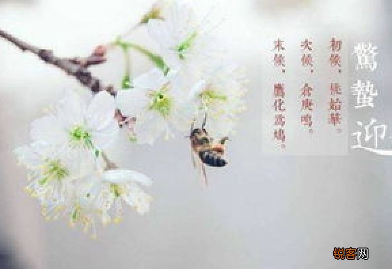 惊蛰前上新坟还是惊蛰后上新坟