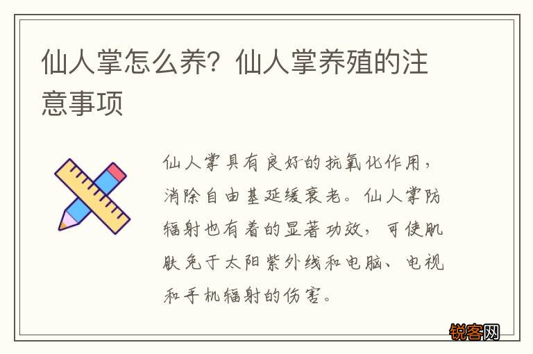 仙人掌怎么养？仙人掌养殖的注意事项