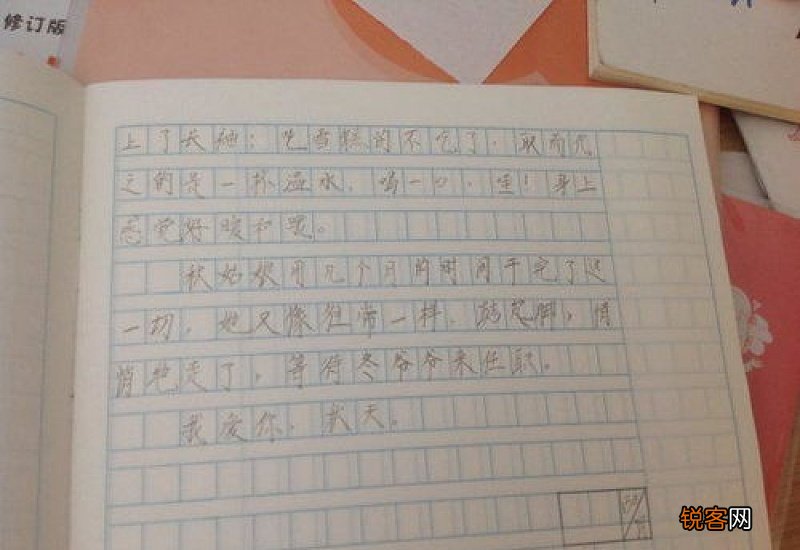 小作文《除夕夜》二年级怎么写3篇