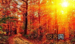 形容秋天的成语有哪些 形容秋天的成语精选