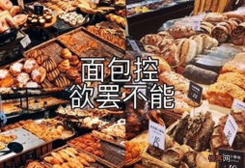 迪士尼可以带面包店买的面包进去吗