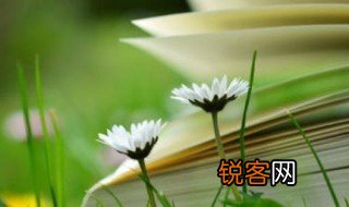 鹏的拼音 鹏的组词