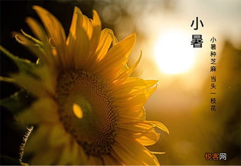 小暑后几天入伏2021