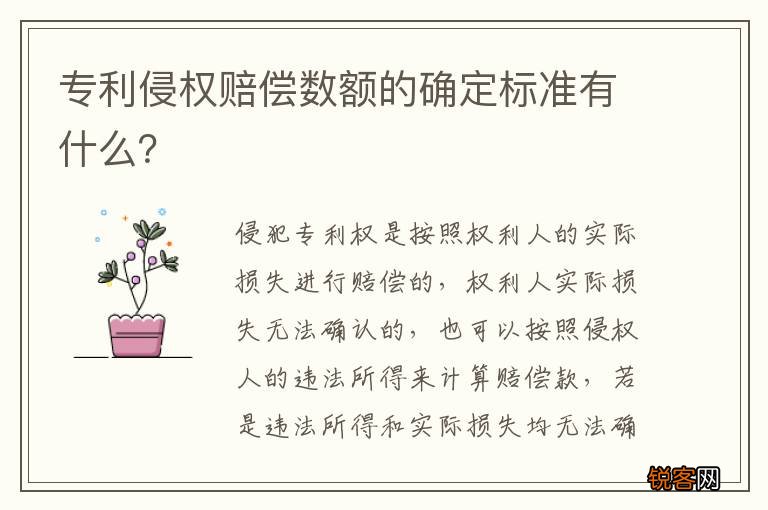 专利侵权赔偿数额的确定标准有什么？