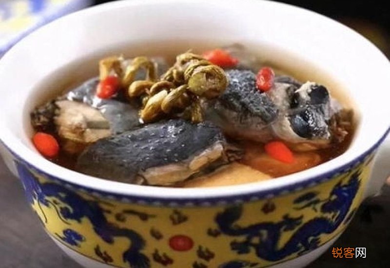 灵芝怎么吃最好 灵芝怎么煲汤