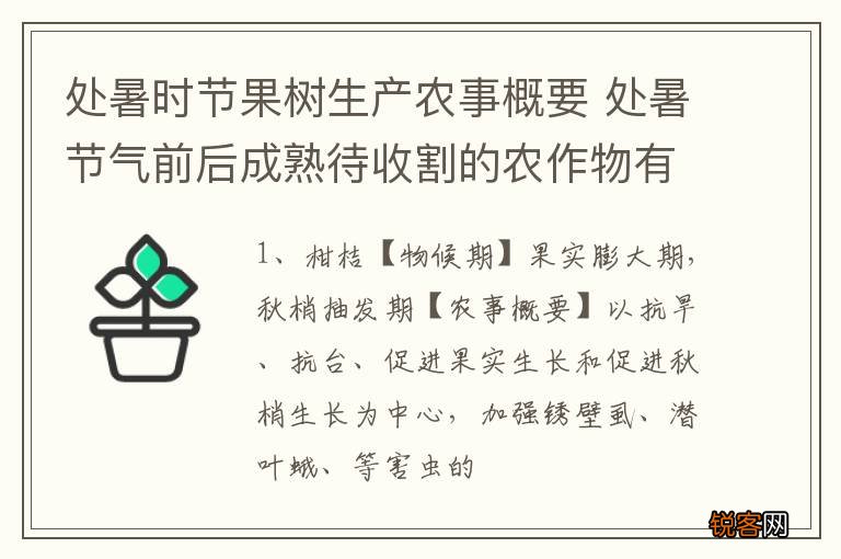 处暑时节果树生产农事概要 处暑节气前后成熟待收割的农作物有