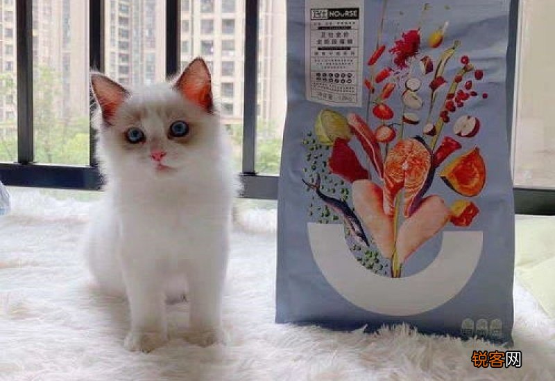 泌尿道猫粮有用吗